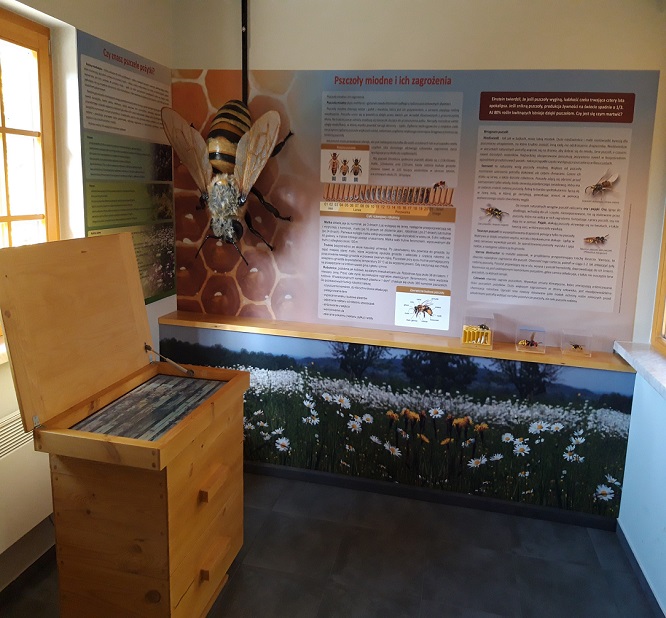 Wnętrze budynku edukacyjnego gospodarstwa pszczelarskiego